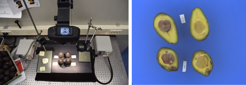 Artificial Intelligence in the Food Domain