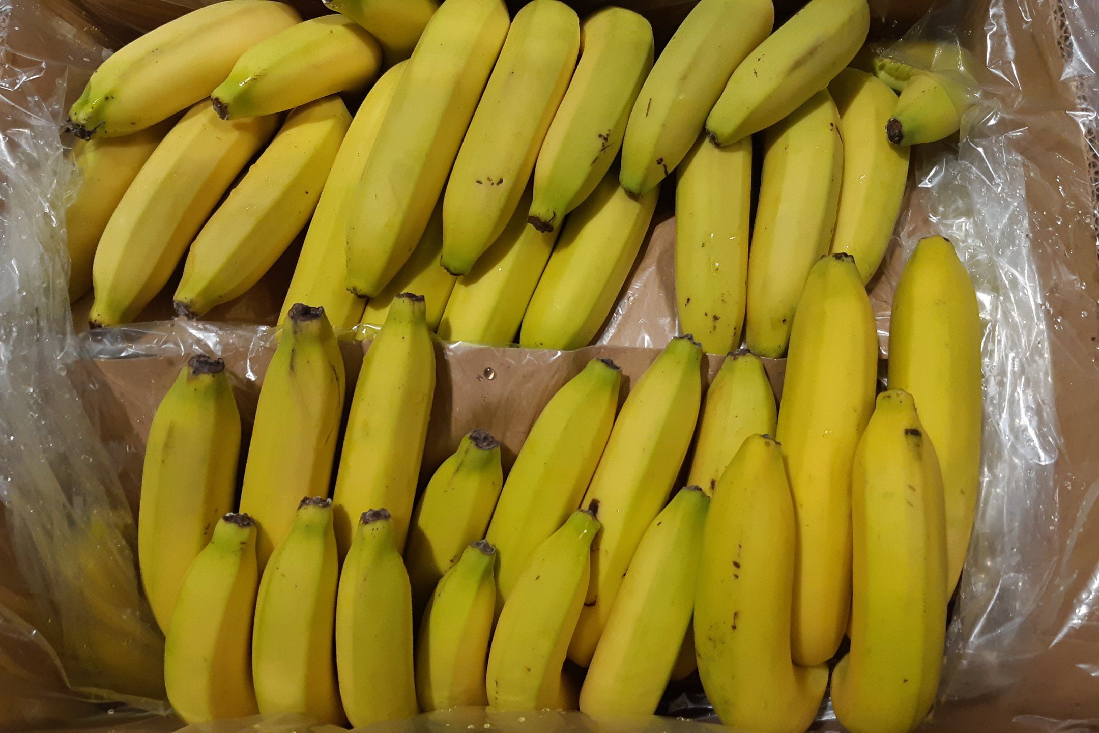 Banana