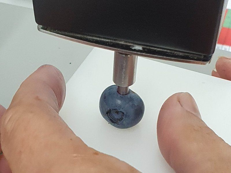 Blueberry quality