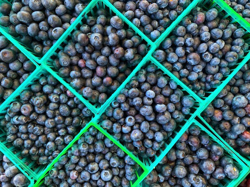 Blueberry quality