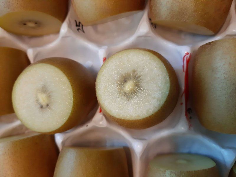 Dealing with ripening and ethylene