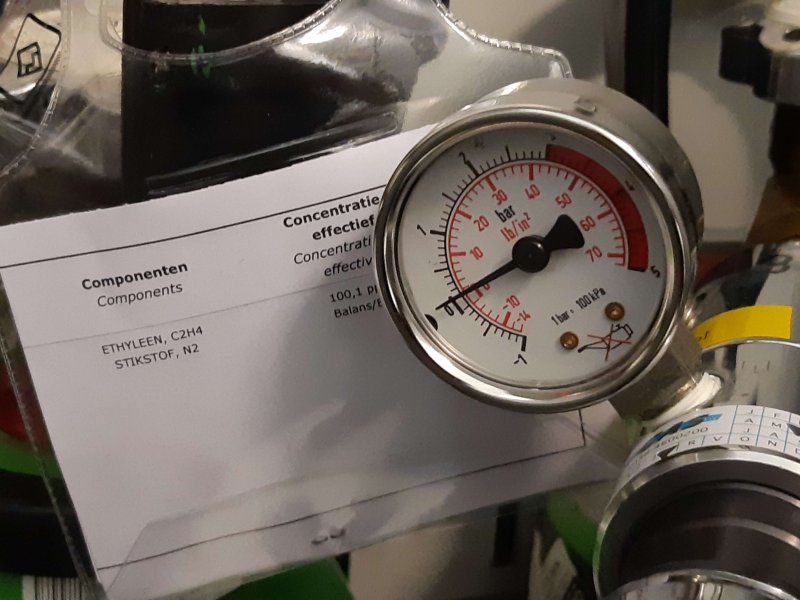 Dealing with ripening and ethylene