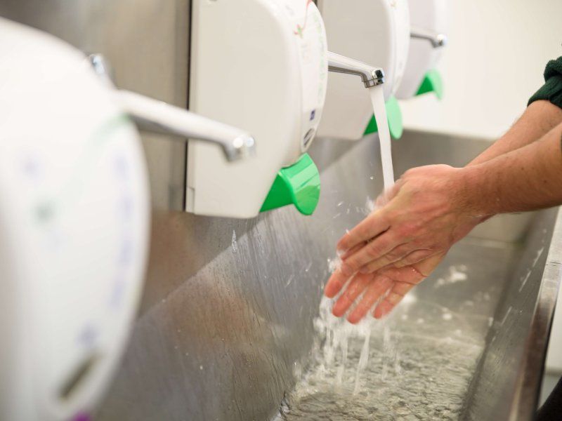 Ensuring food safety