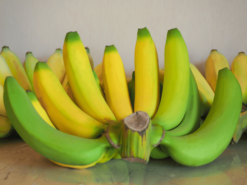 Handling living products