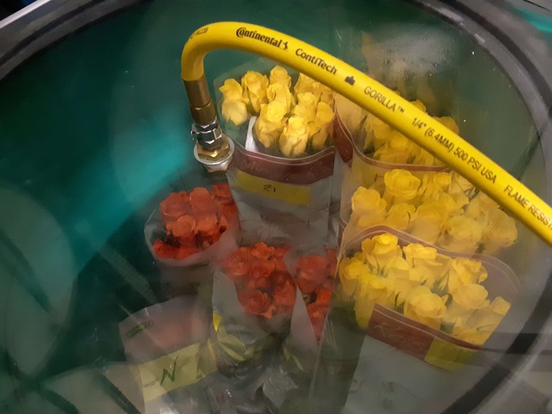 Hypobaric storage of fresh produce and flowers