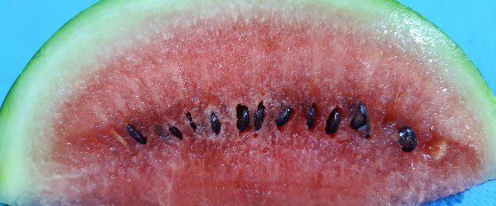 Melon quality