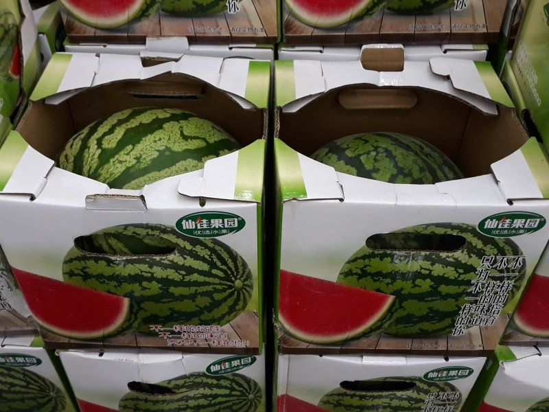 Melon quality