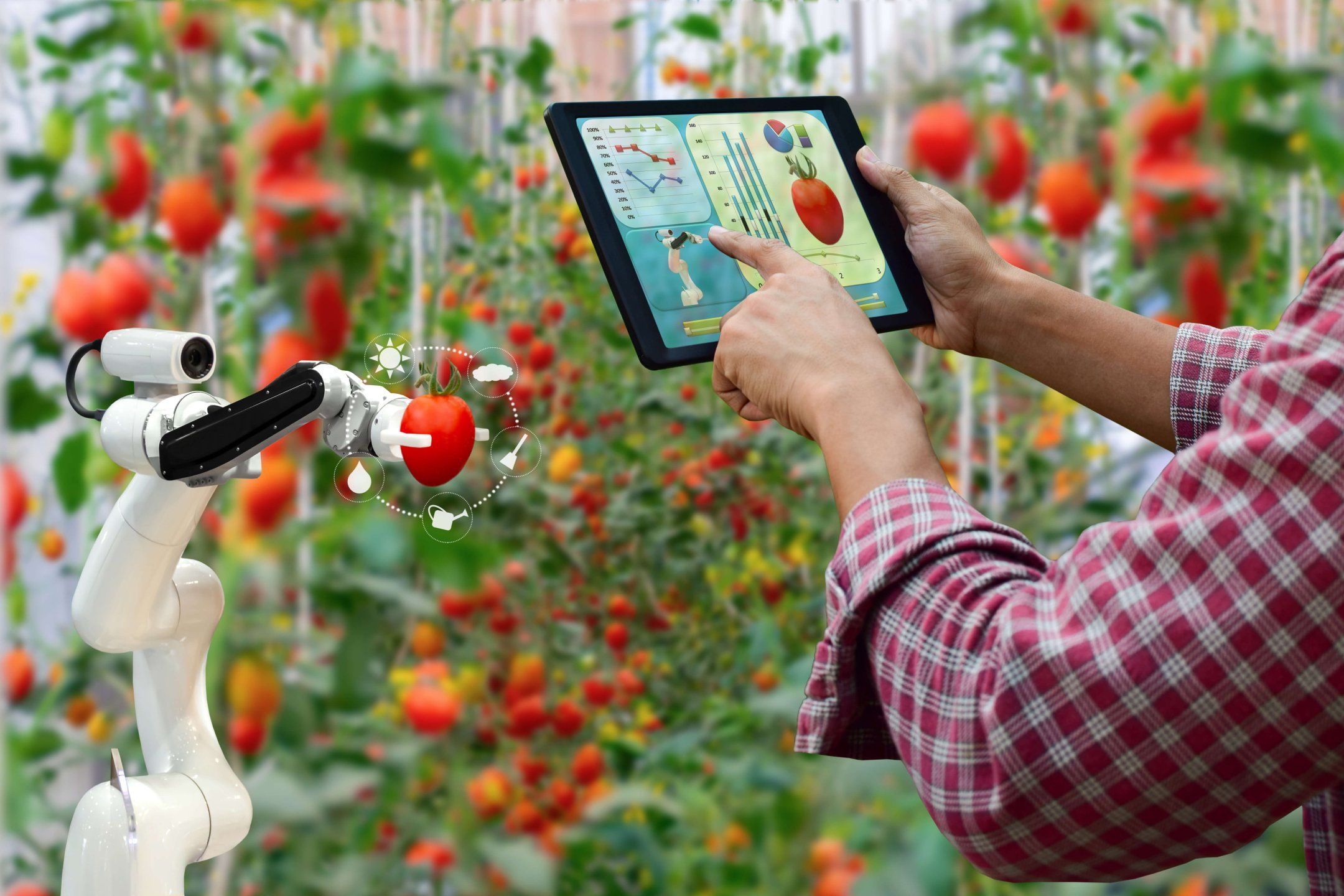 Novel sensing technologies and chemometrics