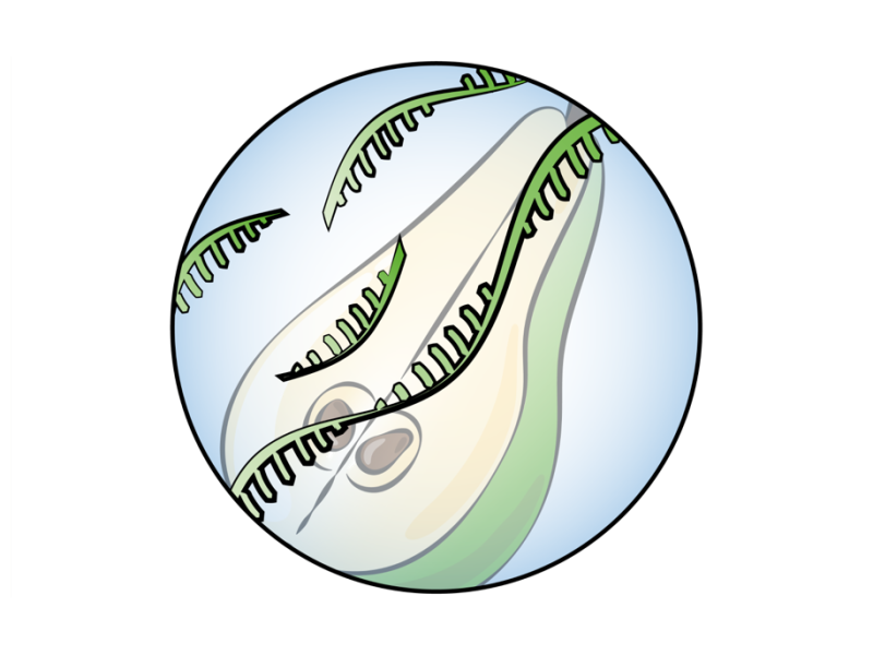 Omics