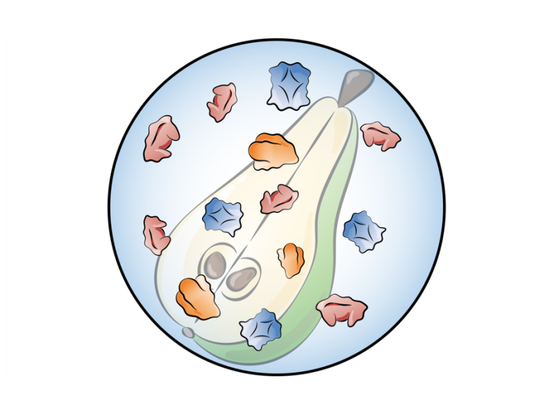 Omics