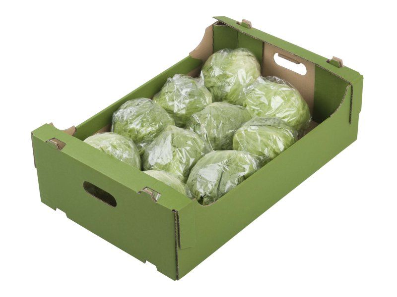 Packhouse practices for lettuce