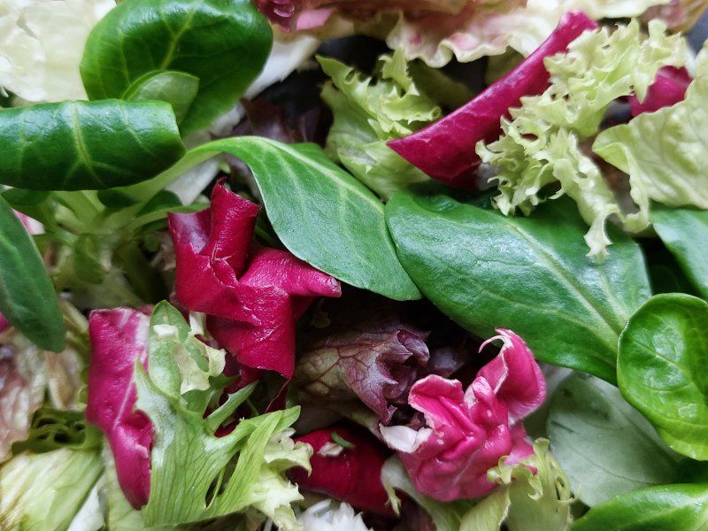 Packhouse practices for lettuce