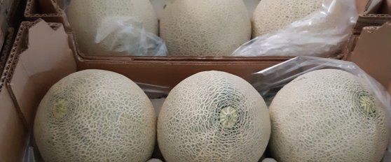 Packhouse practices for melon