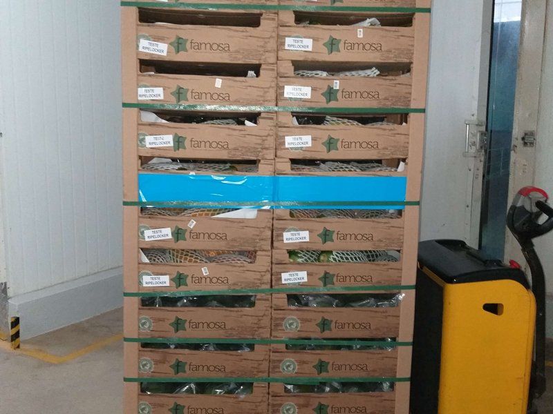 Packhouse practices for papaya