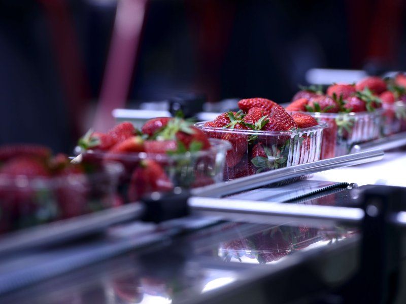 Packhouse practices for strawberry