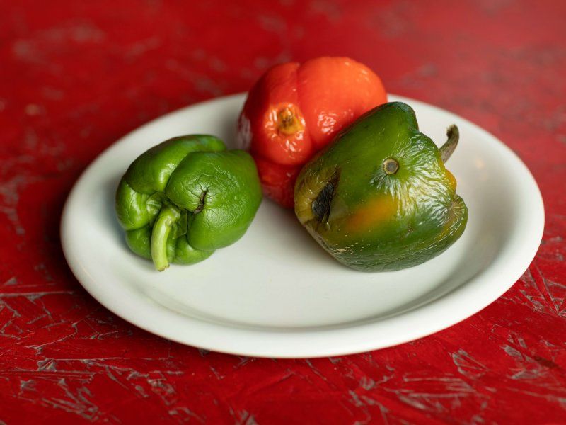 Pepper disorders and diseases