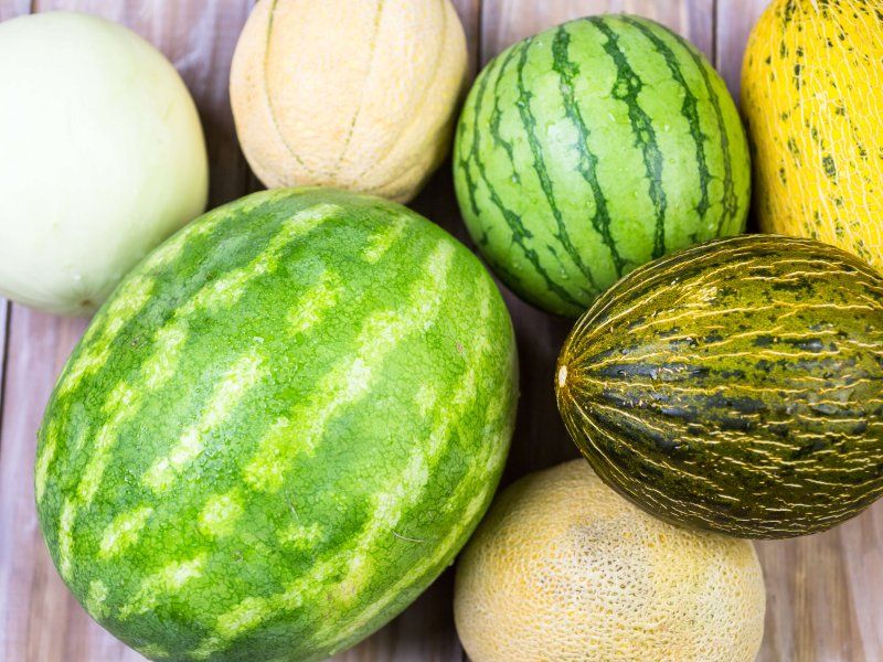 Retail practices for melon