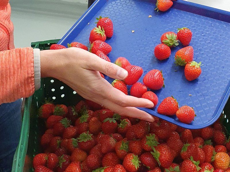 Retail practices for strawberry