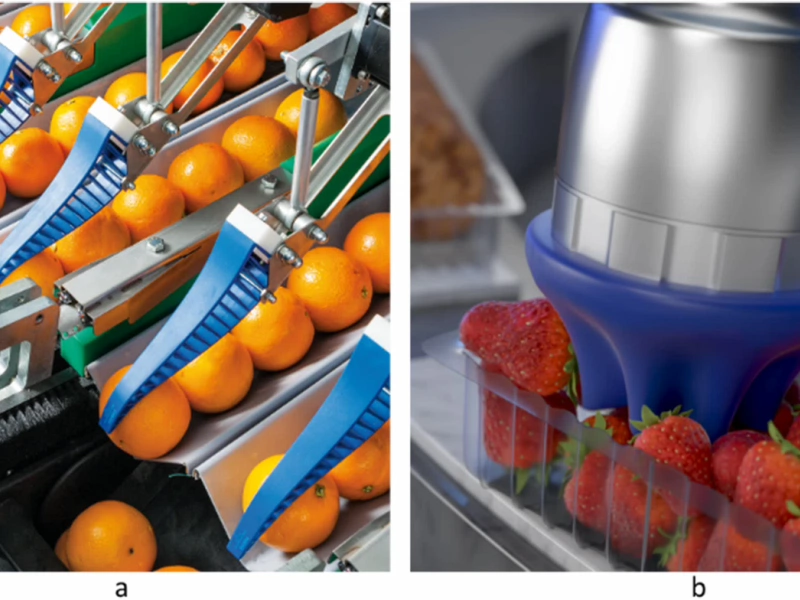 Robotics for quality-driven post-harvest supply chains