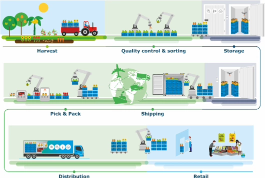 Robotics for quality-driven post-harvest supply chains