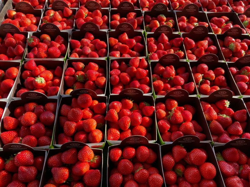 Strawberry taste