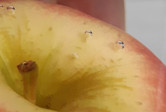 The many-sided role of carbon dioxide in postharvest practice