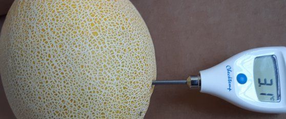 The melon chain