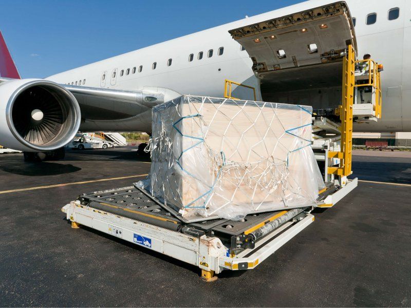 The papaya supply chain