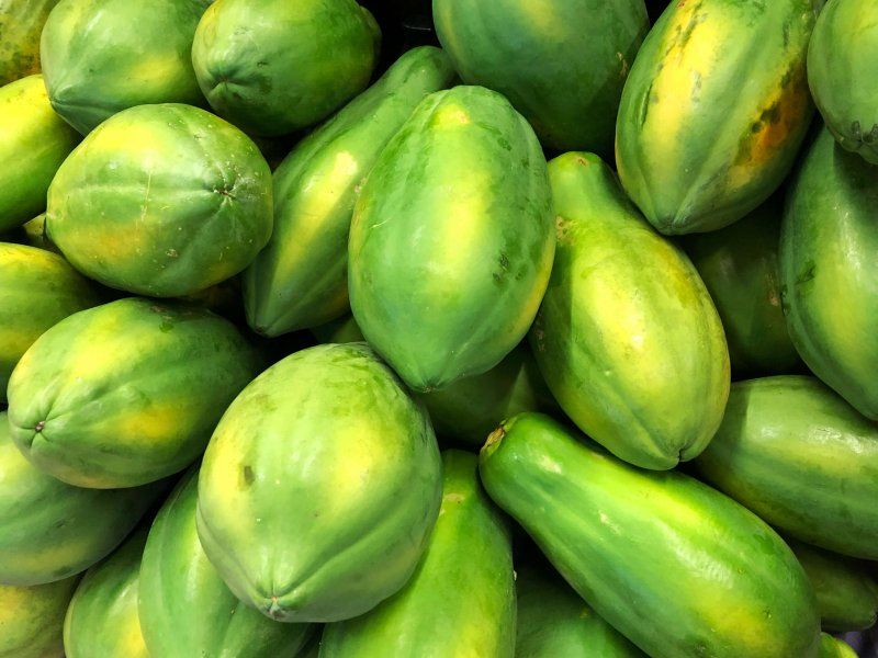 The papaya supply chain