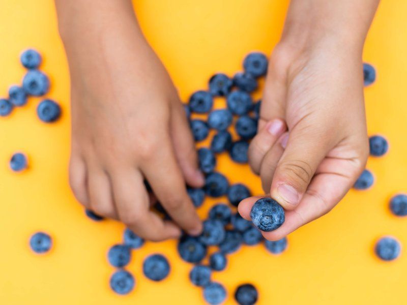 Transport practices for blueberries