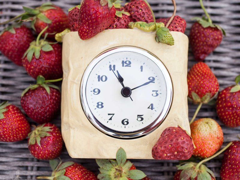 Transport practices for strawberry