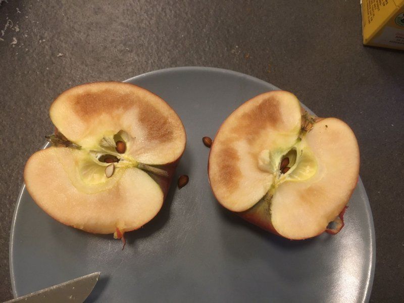 Understanding quality traits of fruit