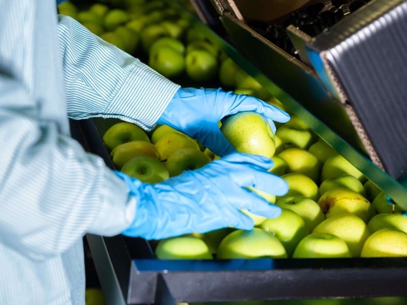 Understanding quality traits of fruit