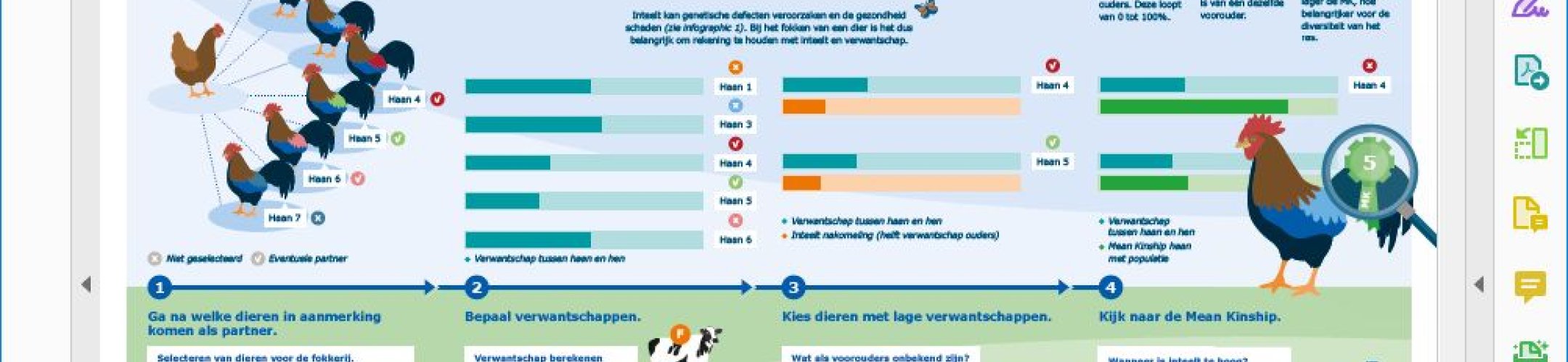 Omgaan met inteelt en verwantschap voor fokkers en eigenaars – CGN infographic 2