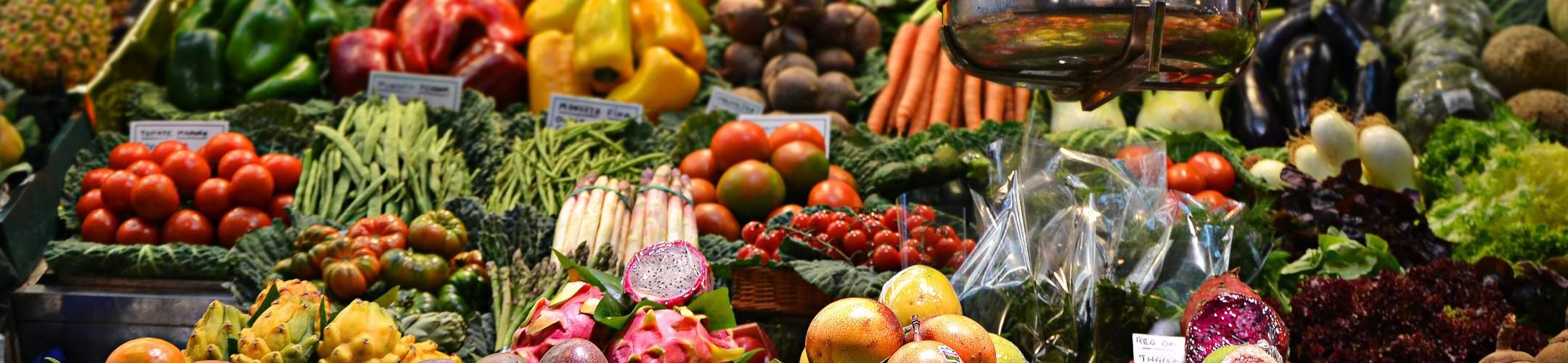Are you a stakeholder organisation working in food systems?