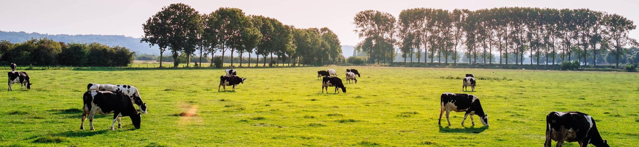 FACCE ERA-GAS project M4Models webinar on 'Methane emissions from manure management –
monitoring and mitigation'