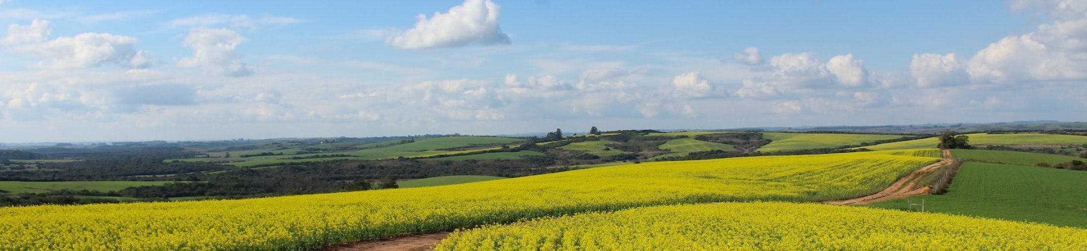 FACCE-JPI science-policy interface:course on Science-Based Policy Advice in the fields of
agriculture and environment