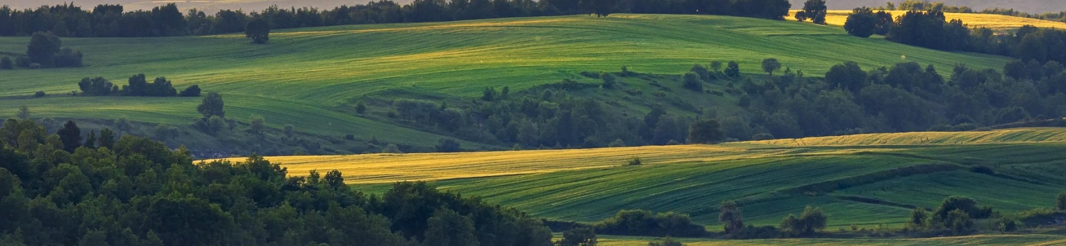 MACSUR SciPol releases two more policy briefs on trends in greenhouse gas emissions and
analysis of mitigation policies in European agriculture