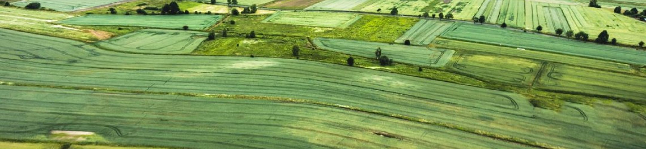 SusCrop Funded Projects Kick-off Meeting and workshops on sustainability and data in
Belgium