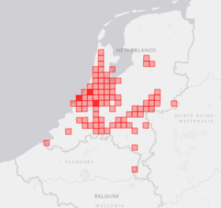 Amerikaanse rivierkreeft