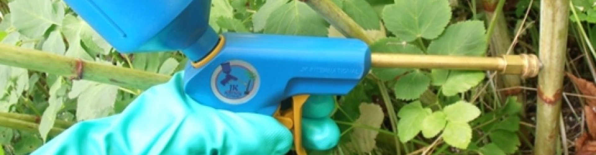 Glyfosaat - stengelinjectie