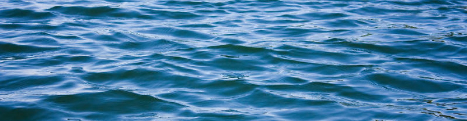 Inundatie cover