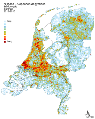 Nijlgans