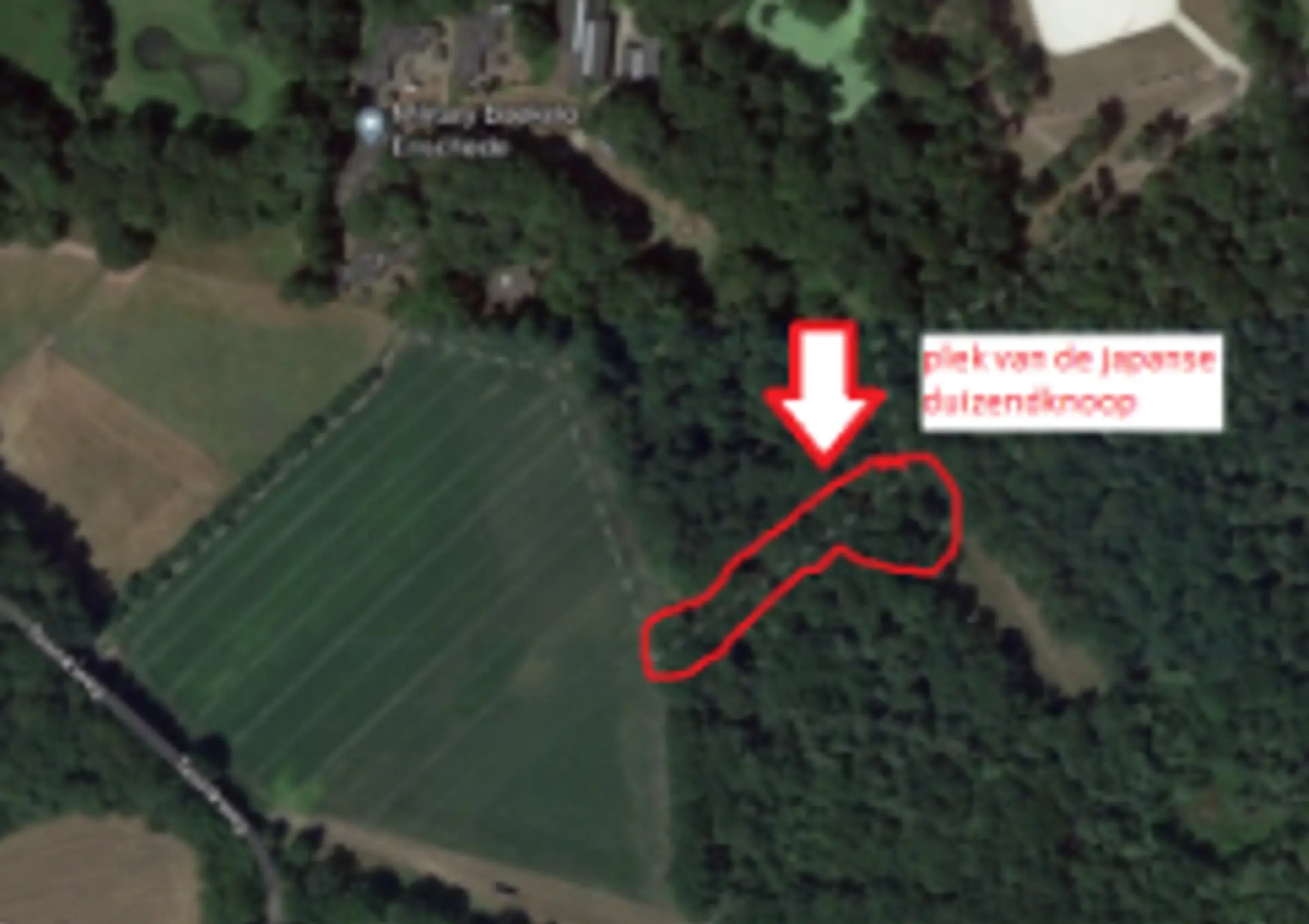Schermafbeelding 2026-05-11 160513.png