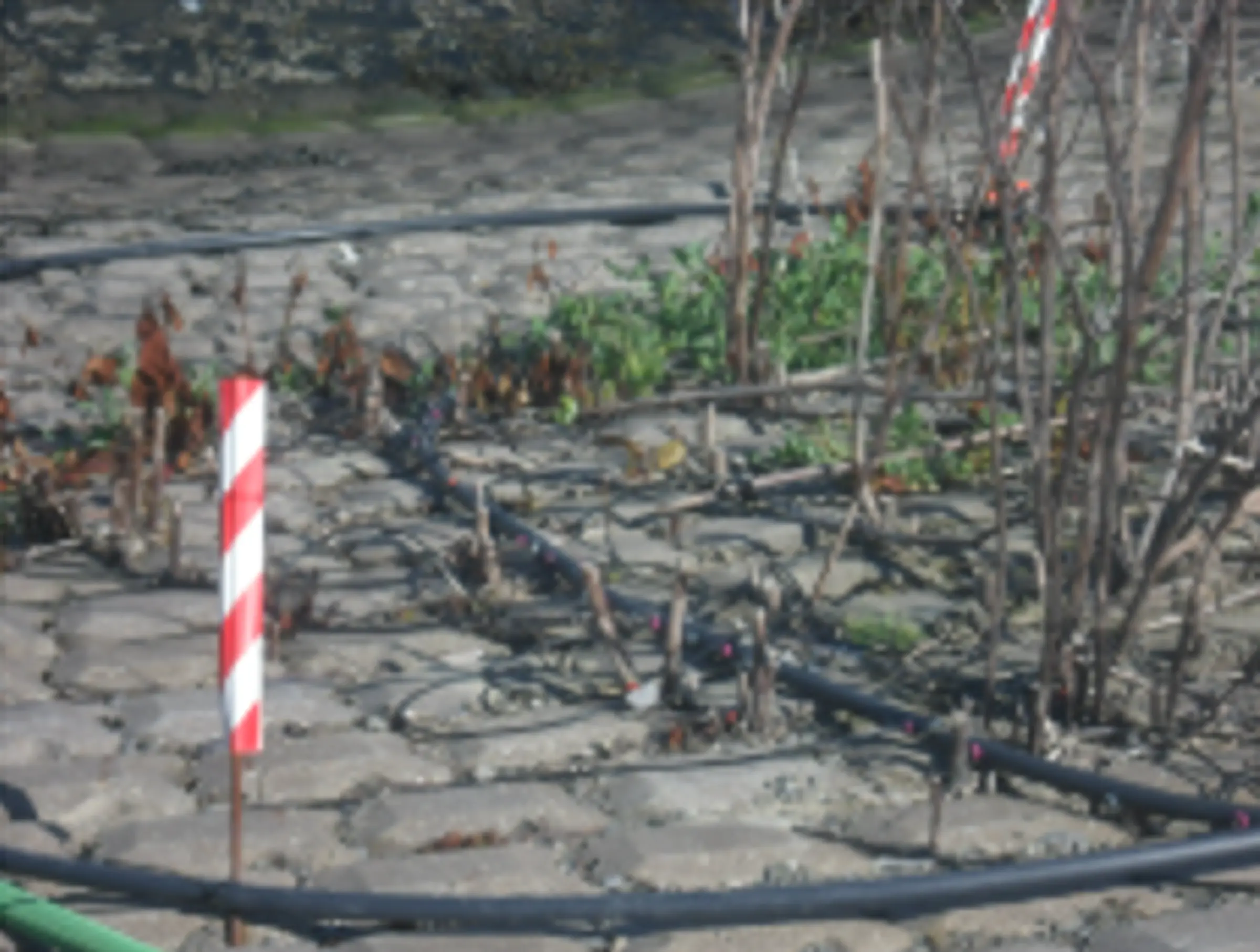 Schermafbeelding 2026-05-11 161802.png
