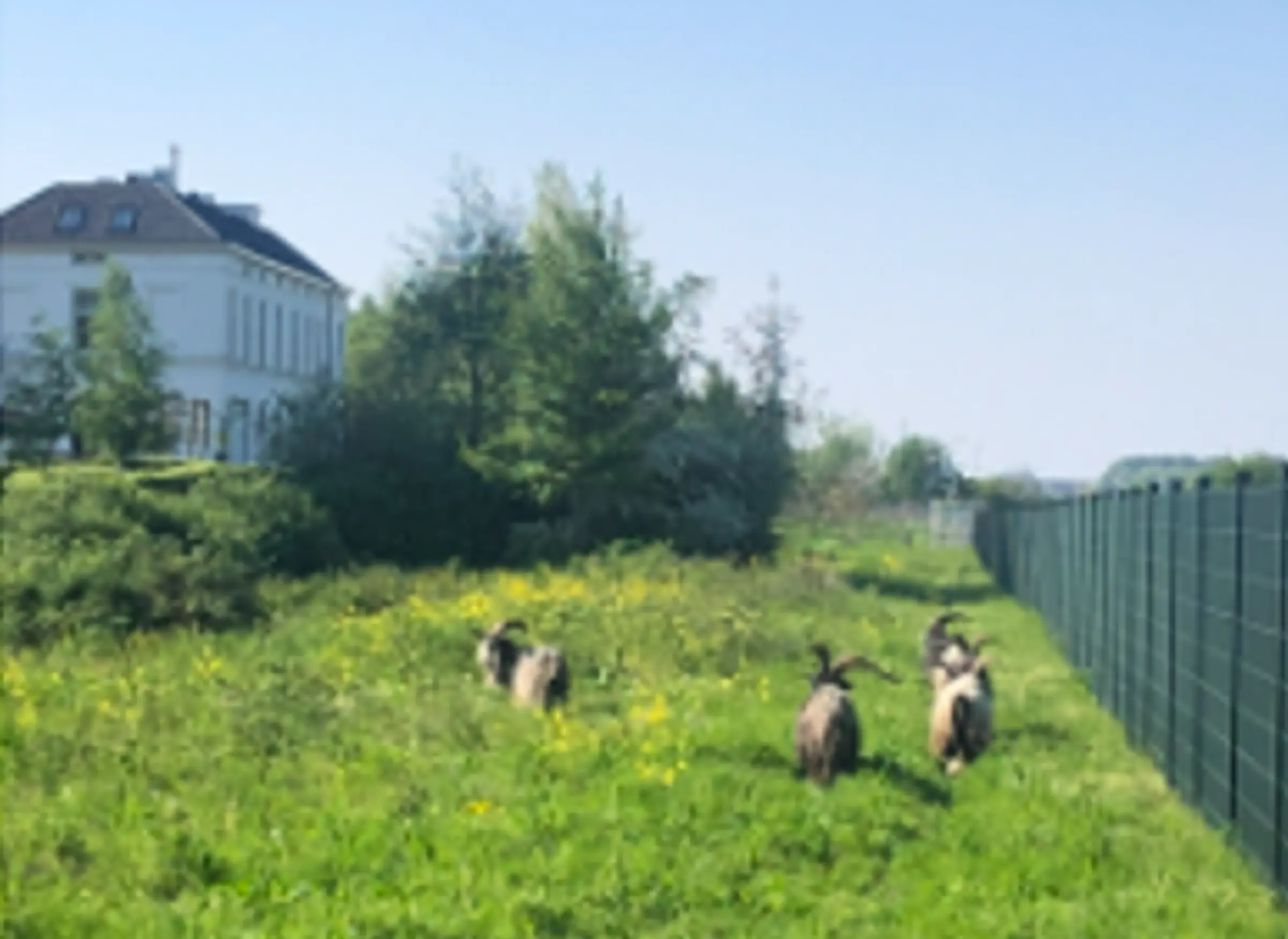 Schermafbeelding 2026-05-11 165643.png