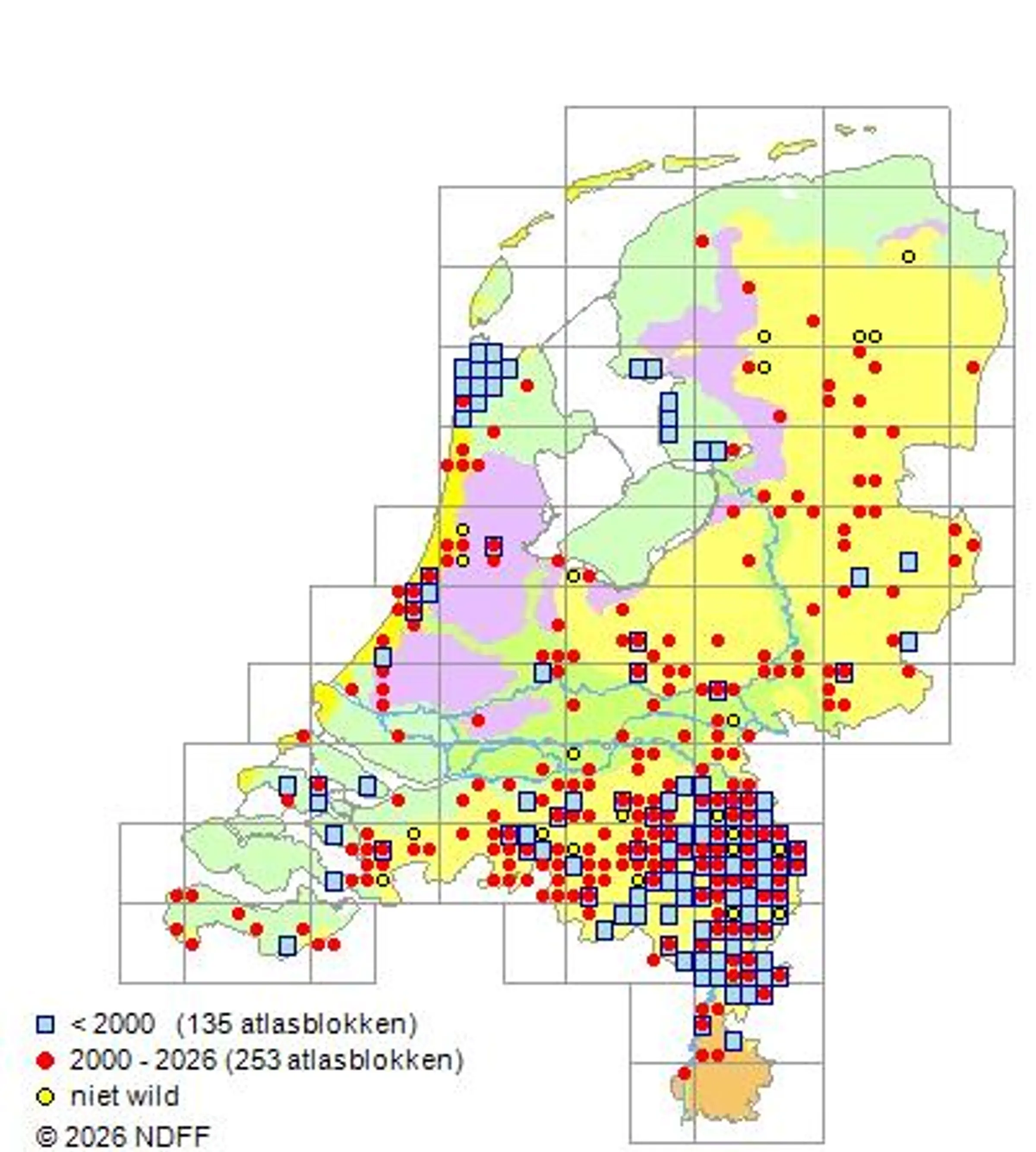 Verspreidingskaart Knolcyperus, NDFF, 2026. 