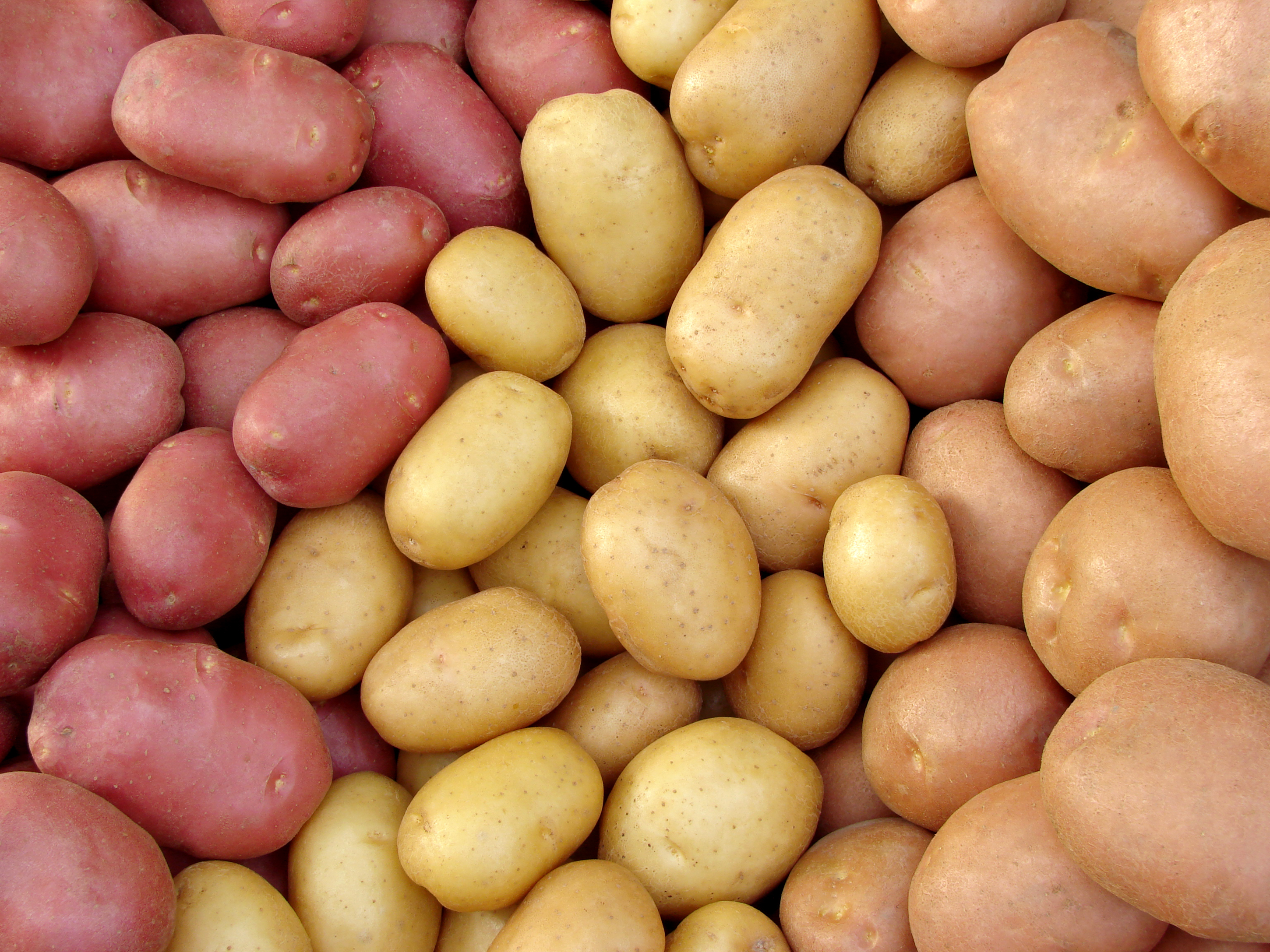 on-line variety lists