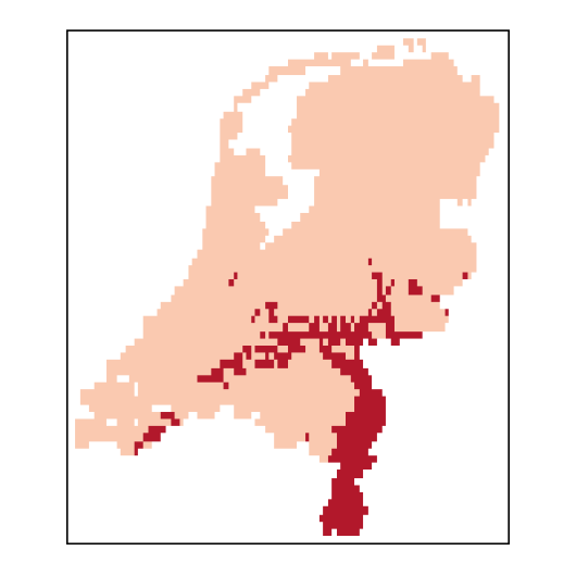 Agrostis vinealis Schreb.