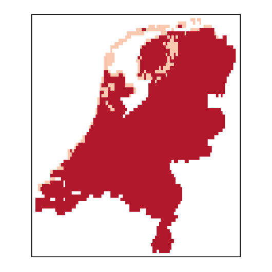Ribes nigrum L.